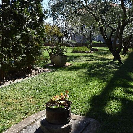 Apartman Dodo Zadar Exteriör bild